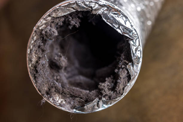 Best Best Air Duct Cleaning Company  in Fremont, OH
