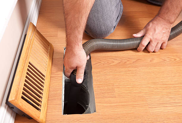 Best Air Duct Mold Removal  in Fremont, OH